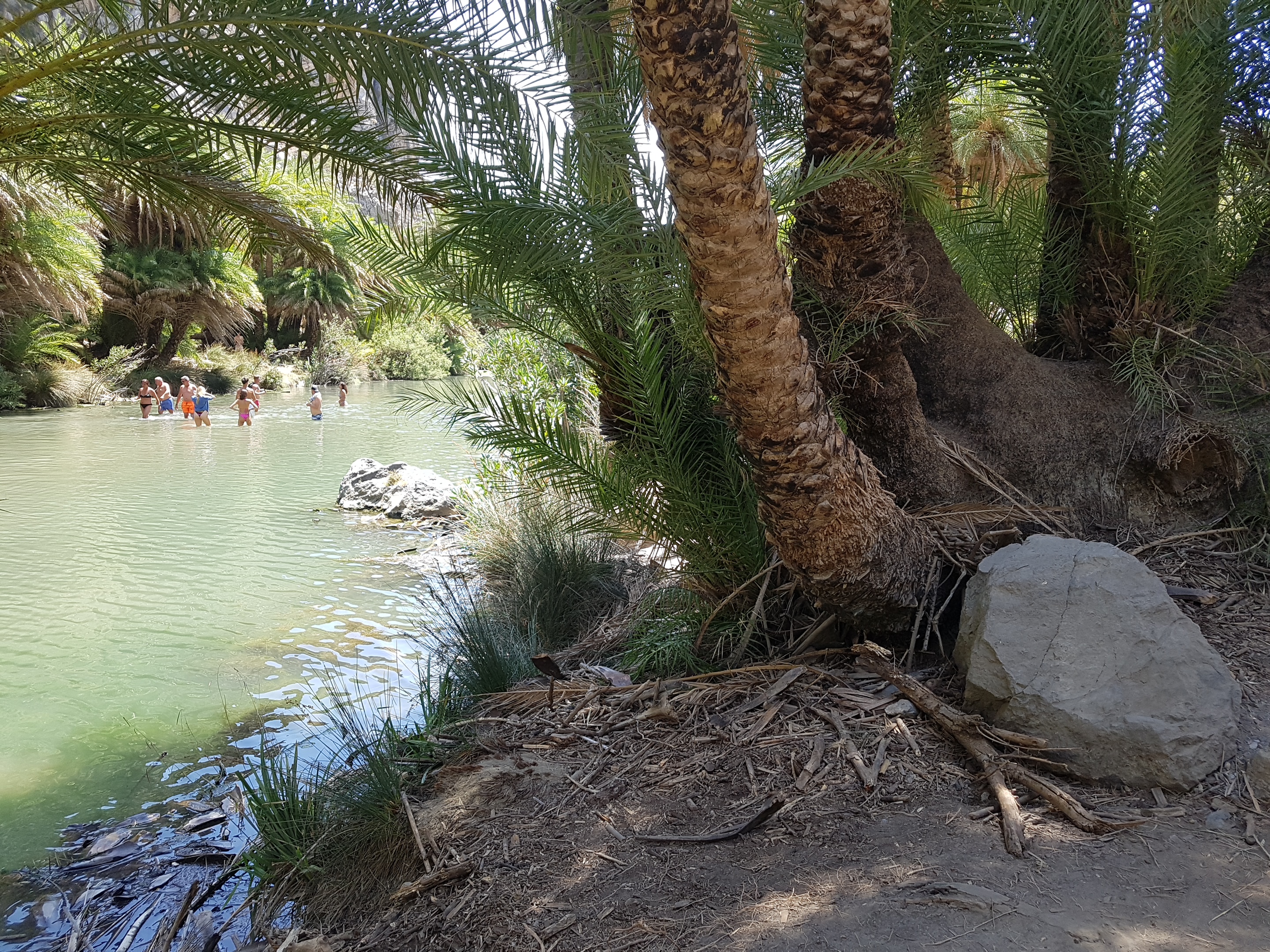 Πρόσκληση Εκδήλωσης Ενδιαφέροντος Συμμετοχής σε Επιμορφωτική Δράση για τα Φοινικοδάση