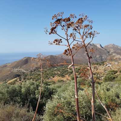 Εργαστήριο Οικολογίας και Διαχείρισης Περιβάλλοντος - ΜΦΙΚ