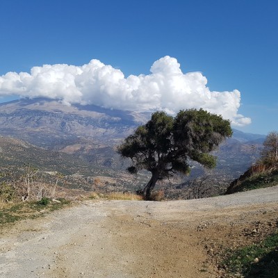 Συμμετέχοντες εκπαιδευτικοί στην Επιμόρφωση Ειδικών Θεματικών Δράσεων πεδίου στις Μέλαμπες