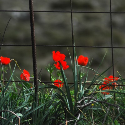 Εγκύκλιος επισκέψεων 2025-2026