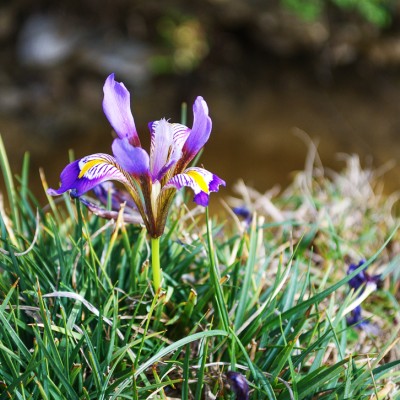Δράσεις Ενηλίκων