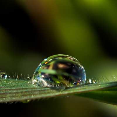 Προγράμματα 2025-2026