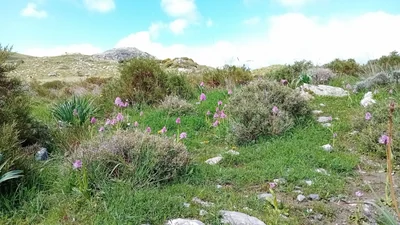 1 Βιο-Ερευνητές Οικοσυστημάτων