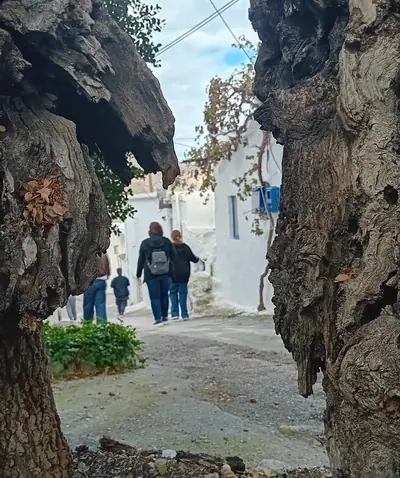6 Αειφόρα Πολιτιστικά Μονοπάτια